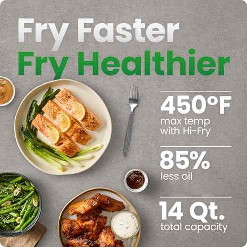 Air Fryer 6 in