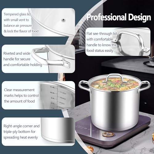 12 Quart Cooking Stock Pot