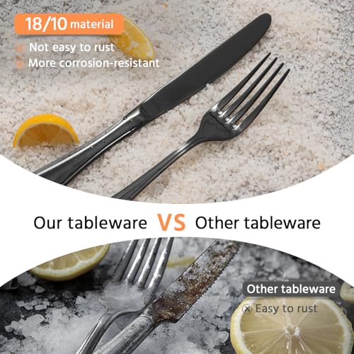 18 10 Stainless Steel Silverware Set for 4 (20 Count)