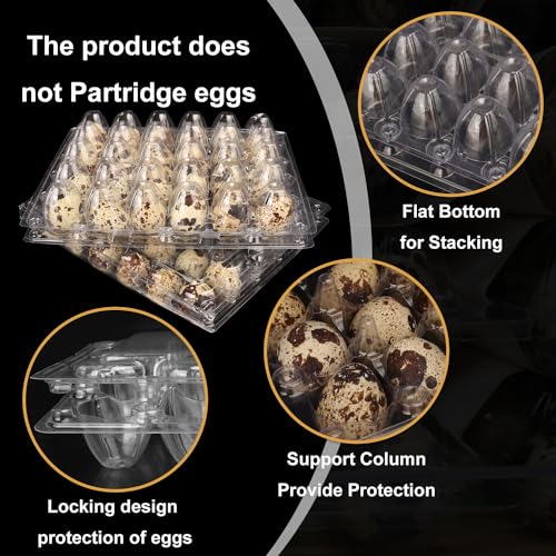 100 Pack Quail Egg Cartons (100 Count)