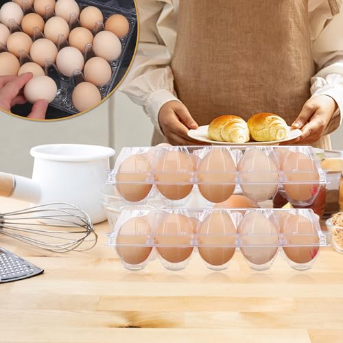 50 Pack Bulk Egg Cartons (50 Count)
