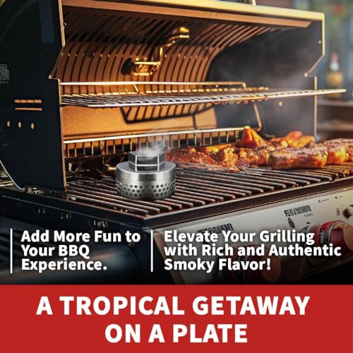 Compact Smoker Box for Grill