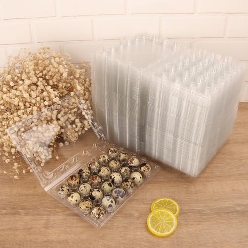 120 Pack Quail Egg Cartons (120 Count)