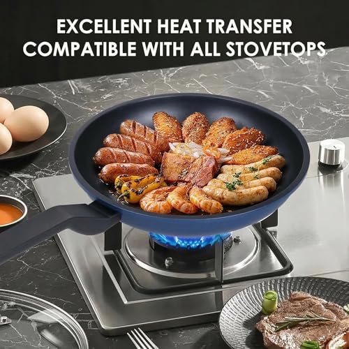 Nonstick Frying Pan Skillet