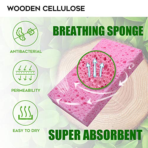 Cleaning Scrub Colored Sponge (16 Count)