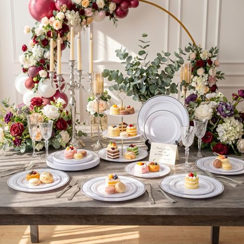 102 Pcs Silver Plastic Plates (51 Count)