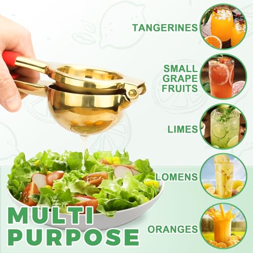 Lemon Squeezer
