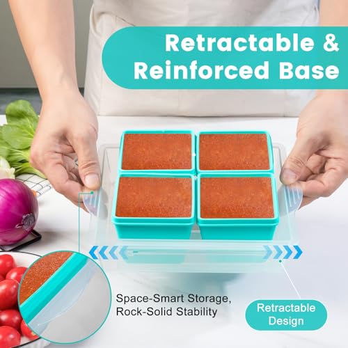 1 Cup Silicone Freezer Molds with Lids & Base (8 Count)