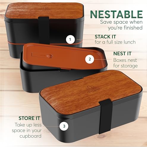 Bento Box Adult