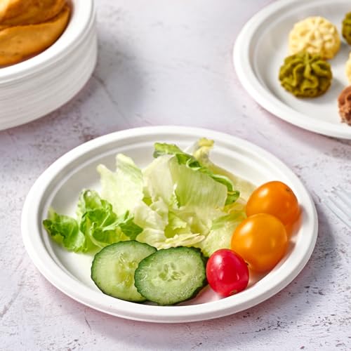 350 Pack Compostable Bagasse Paper Plates 6.9 inch (350 Count)
