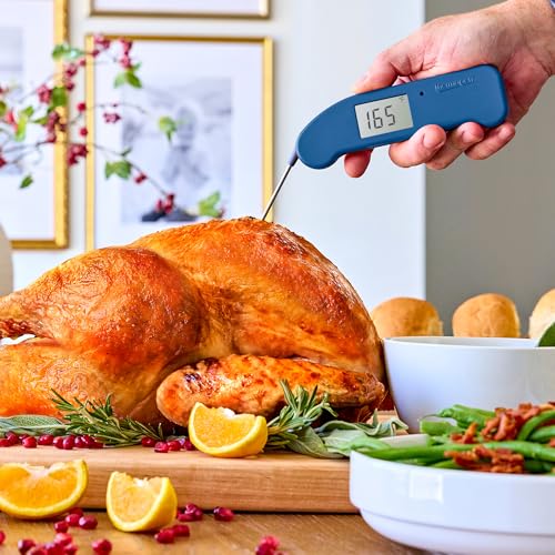 Thermapen ONE