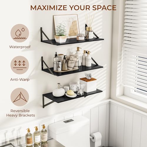24W x 12D Deep Floating Shelves Set of 3 Black (3 Count)