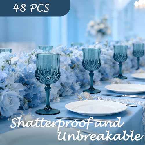 48Pack Plastic Wine Glasses (48 Count)