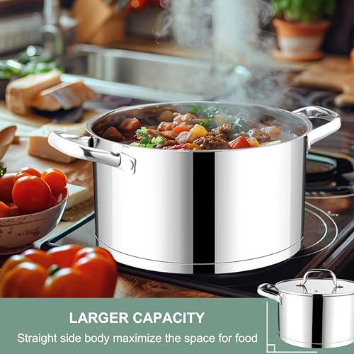 Stainless Steel Stock Pot