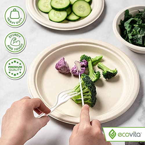 100% Compostable Paper Plates [9 in.] (150 Count)