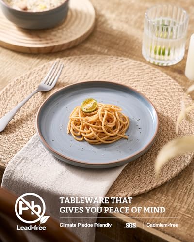 Meteor 16 Piece Dinnerware Set with Pasta Bowls