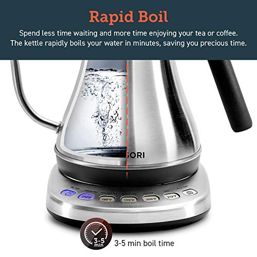 Gooseneck Electric Kettle with Temperature Control