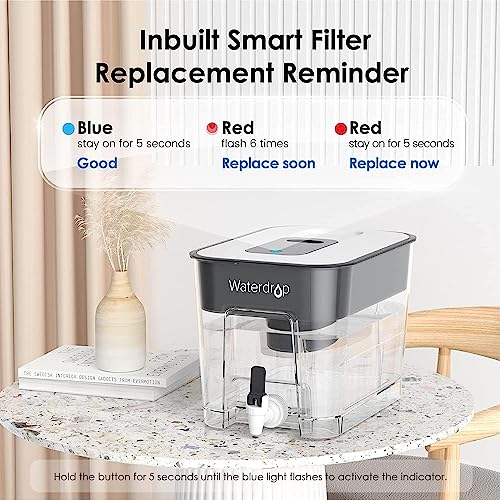 WFD 22L Large Water Filter Dispenser