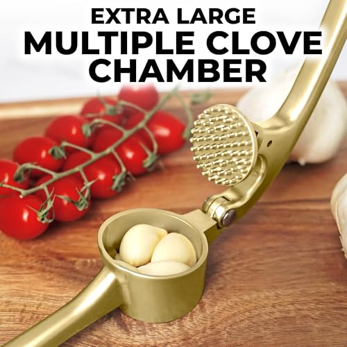 Large Premium Garlic Press Set