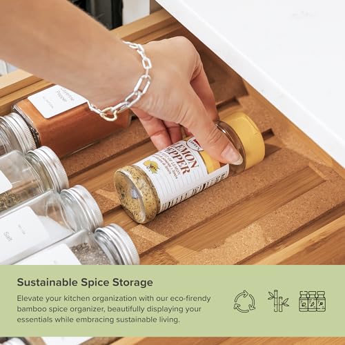 Expandable Spice Drawer Organizer