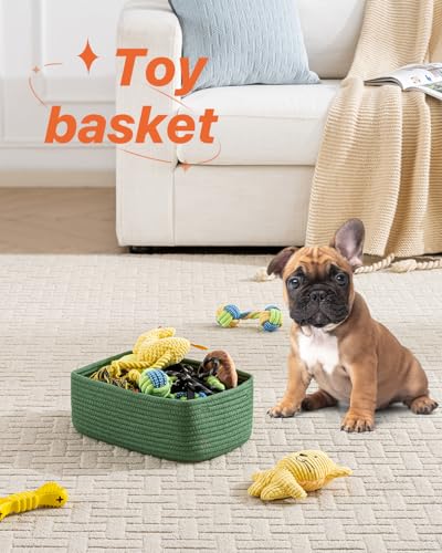 Small Woven Storage Basket for Organizing (3 Count)