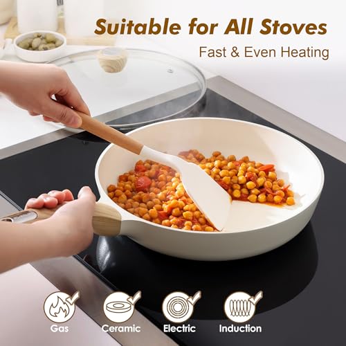 11inch Ceramic Nonstick Frying Pan Paella Pan with Lid