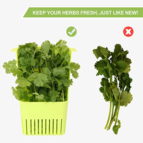 Herb Keeper BPA