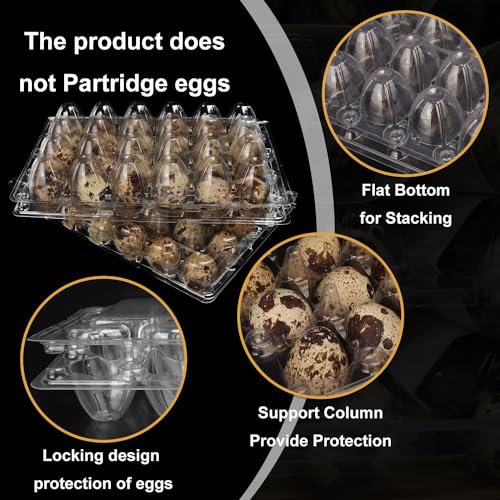 120 Pack Quail Egg Cartons (120 Count)