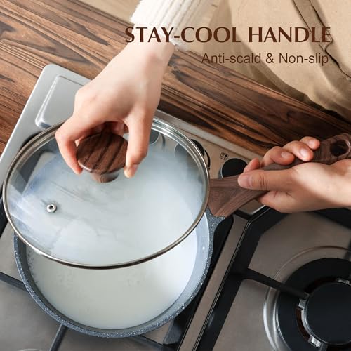 2.5 Quarts Nonstick Saucepan with Lid