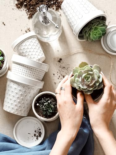 Ceramic Succulent Pots (4 Count)
