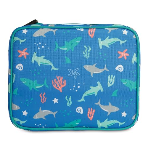 Freezable Classic Lunch Box