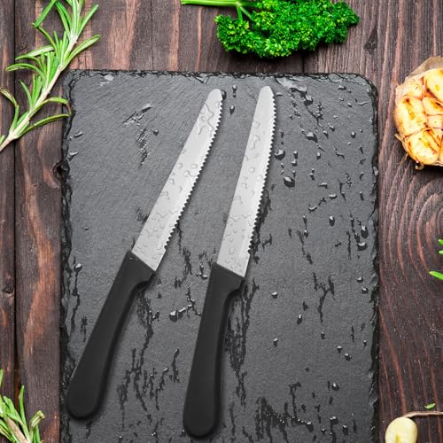 36 PCS Steak Knife Set (36 Count)