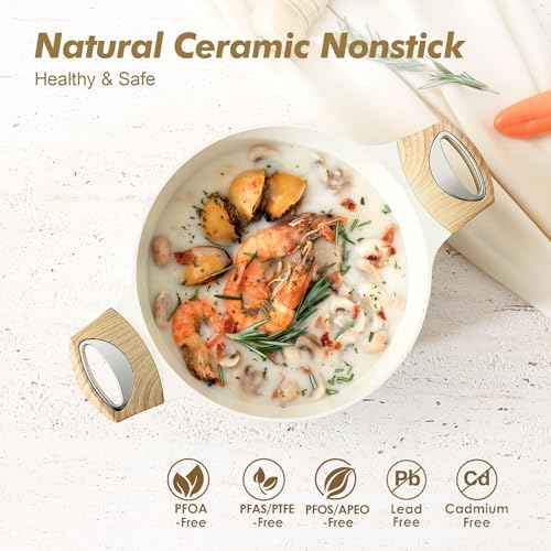 Ceramic Nonstick Stock Pot with Lid (2 Count)