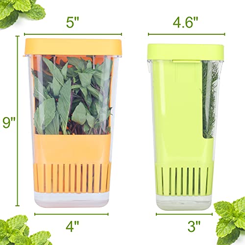 3 Pack Fresh Herb Keeper for Refrigerator