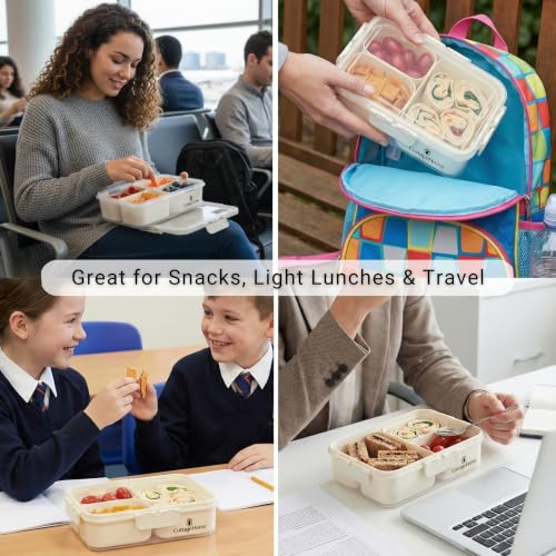 2 Pack Mini Snackle Box Container (2 Count)