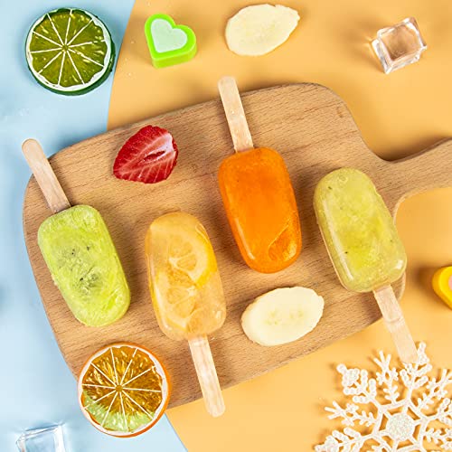 2 Pack Popsicles Molds