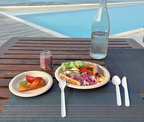 Heavy duty Compostable Spoons (100 Count)