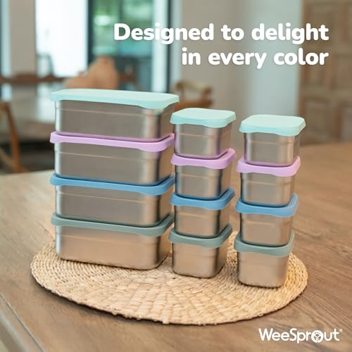 Stainless Steel Lunch Box Set