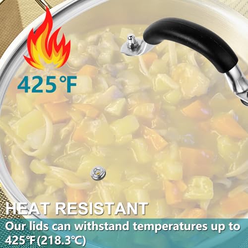 12 Inch Pan Lid