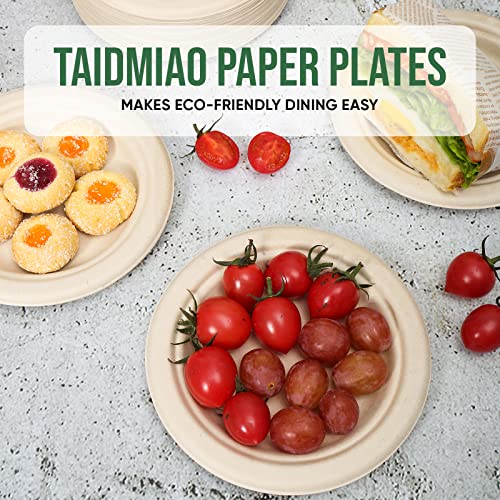 Small Disposable Paper Plates 6 inch (100 Count)
