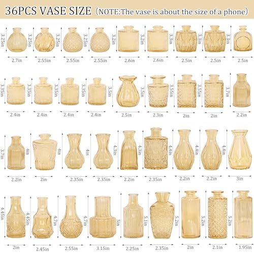 Set of 36 Glass Bud Vases Small Flower Vases for Centerpieces (36 Count)