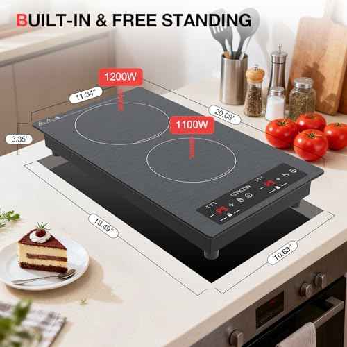 Double Induction Cooktop 110v