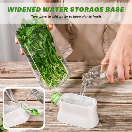 2 Pieces Herb Saver for Refrigerator Fresh Herb Keeper Cilantro Container for Fridge Saver Pod for Cilantro