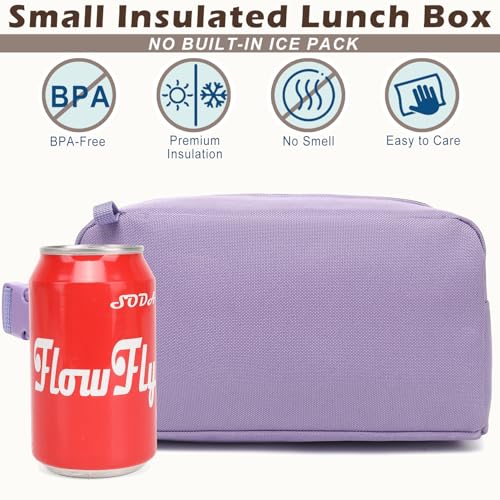 Small Insulated Lunch box Portable Soft Bag Mini Cooler Thermal Meal Tote Kit with Buckle for Work