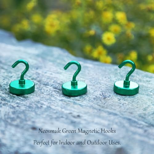 Magnetic Hooks (10 Count)