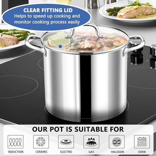 12 QT Stainless Steel Stock Pot with Lid