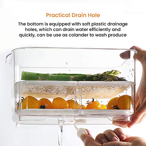 Produce Saver with Lids (2 Count)