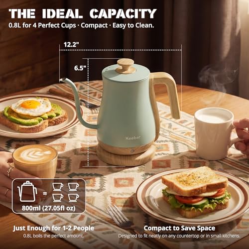 Gooseneck Electric Kettle