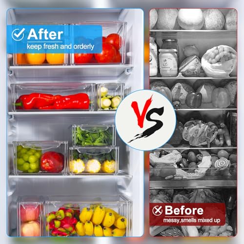 10 Pack Food Storage Organizer Bins (10 Count)
