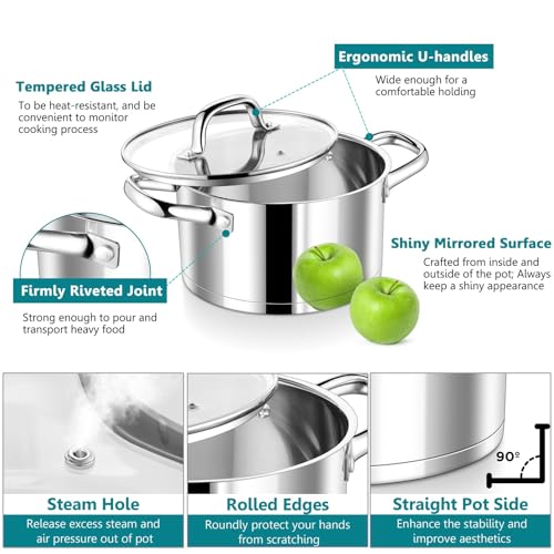 6 Quarts Stock Pot with Lid